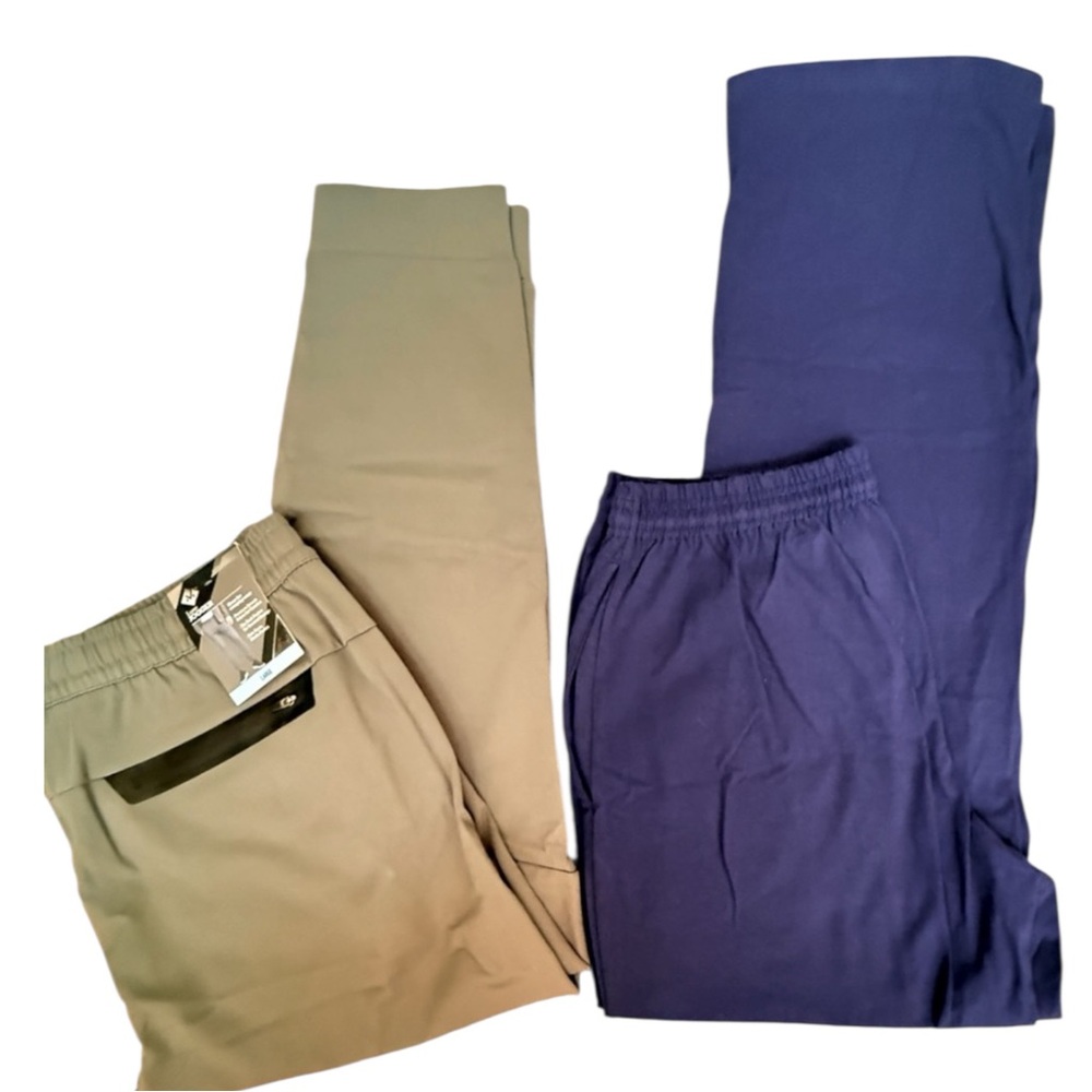 Luxe-Green and Hanes-Blue Joggers Athleisure Pants Activewear 2 for 1 Sz Lg NWT